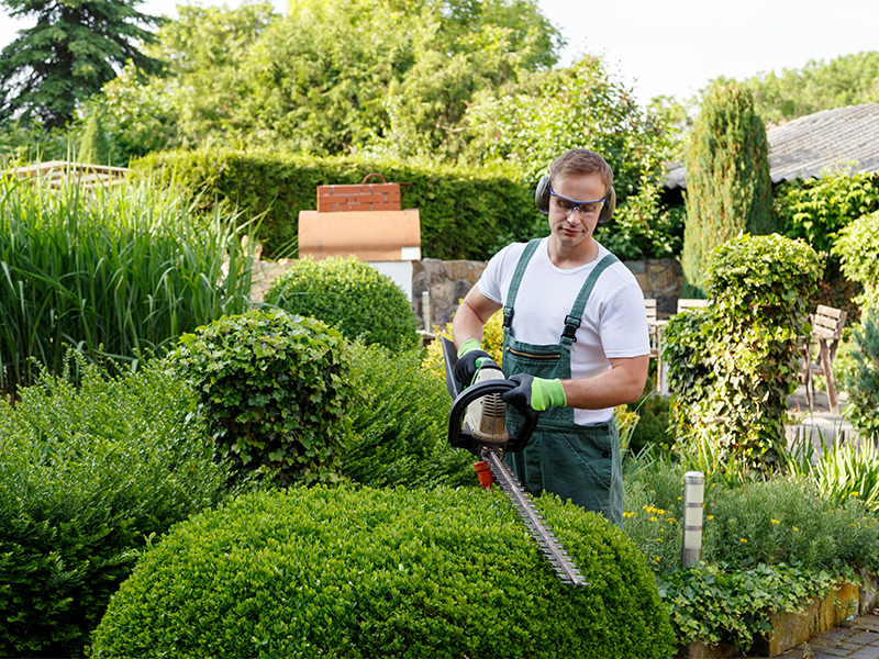 Servizio di giardinaggio